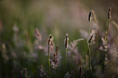 《美女，请别影响我学习》Steam页面上线 本月发售